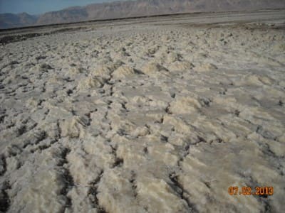 salt figures