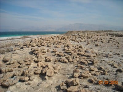 salt figures